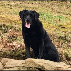 Meet your Posher, Cherri